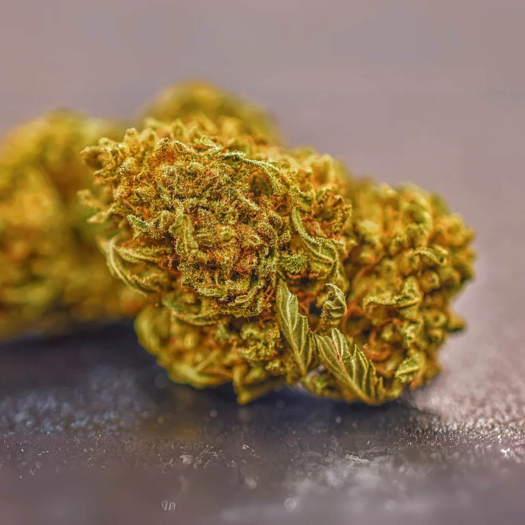 Cookie Burger (Indica) (AAAA)