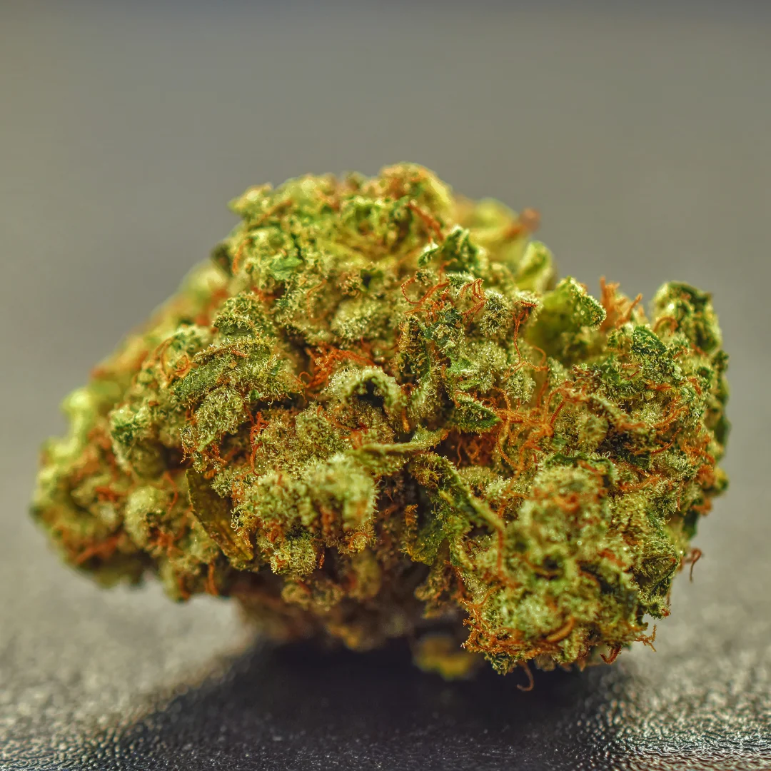 Ménage (Indica) (AAAA)