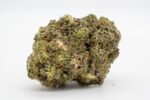 Gas Cartel (AAAA+)